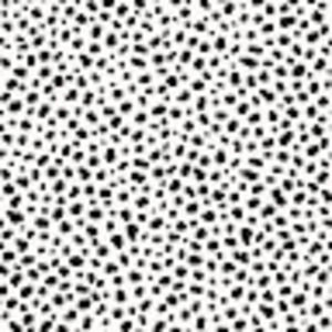 Meet your Posher, Nevaeh